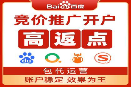 SEO策略在电商平台的成功应用案例